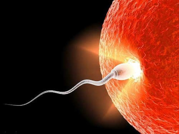 Первые изменения в организме при беременности в первые дни после зачатия
